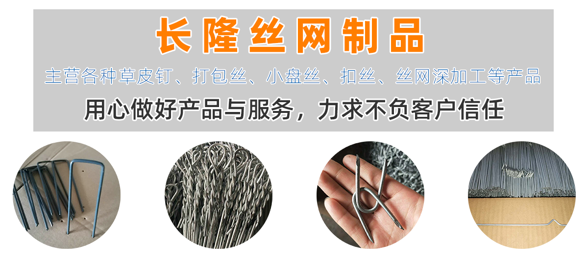 草皮釘-U型釘-地釘-草坪釘-U型地釘 - 河北長(zhǎng)隆絲網(wǎng)制品有限公司
