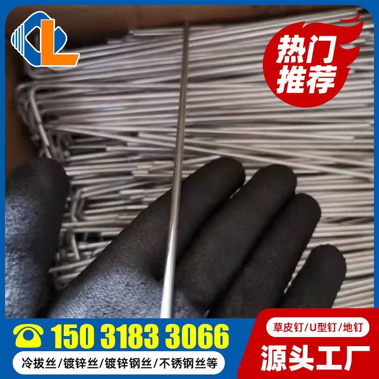 草皮釘土工格柵 U型土工釘 U型鋼釘圖片 土工格柵草皮釘規(guī)格