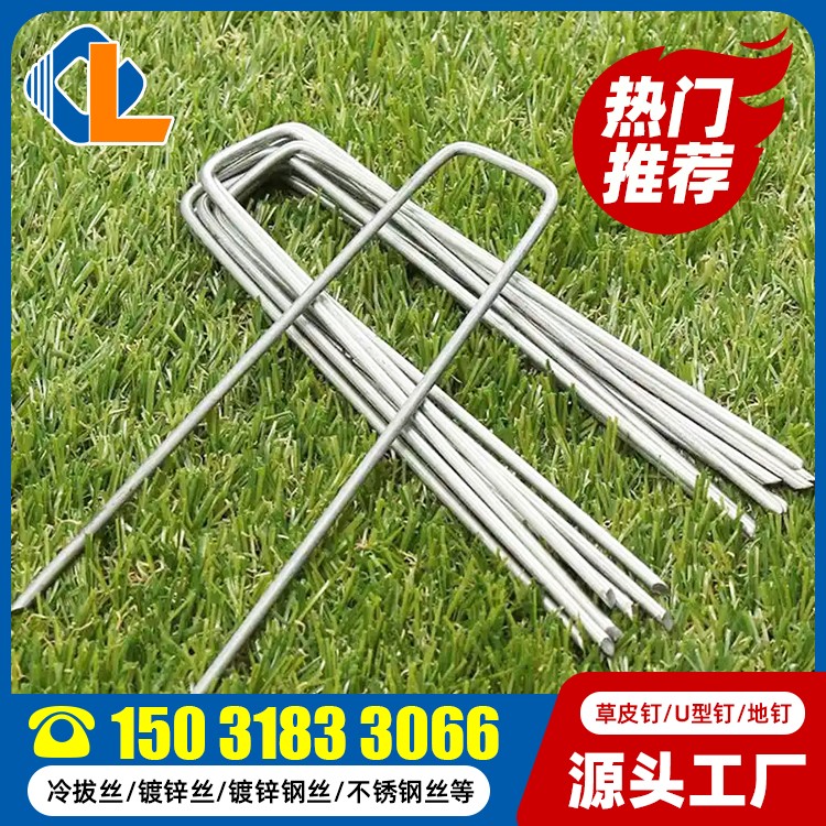 碳鋼草皮釘